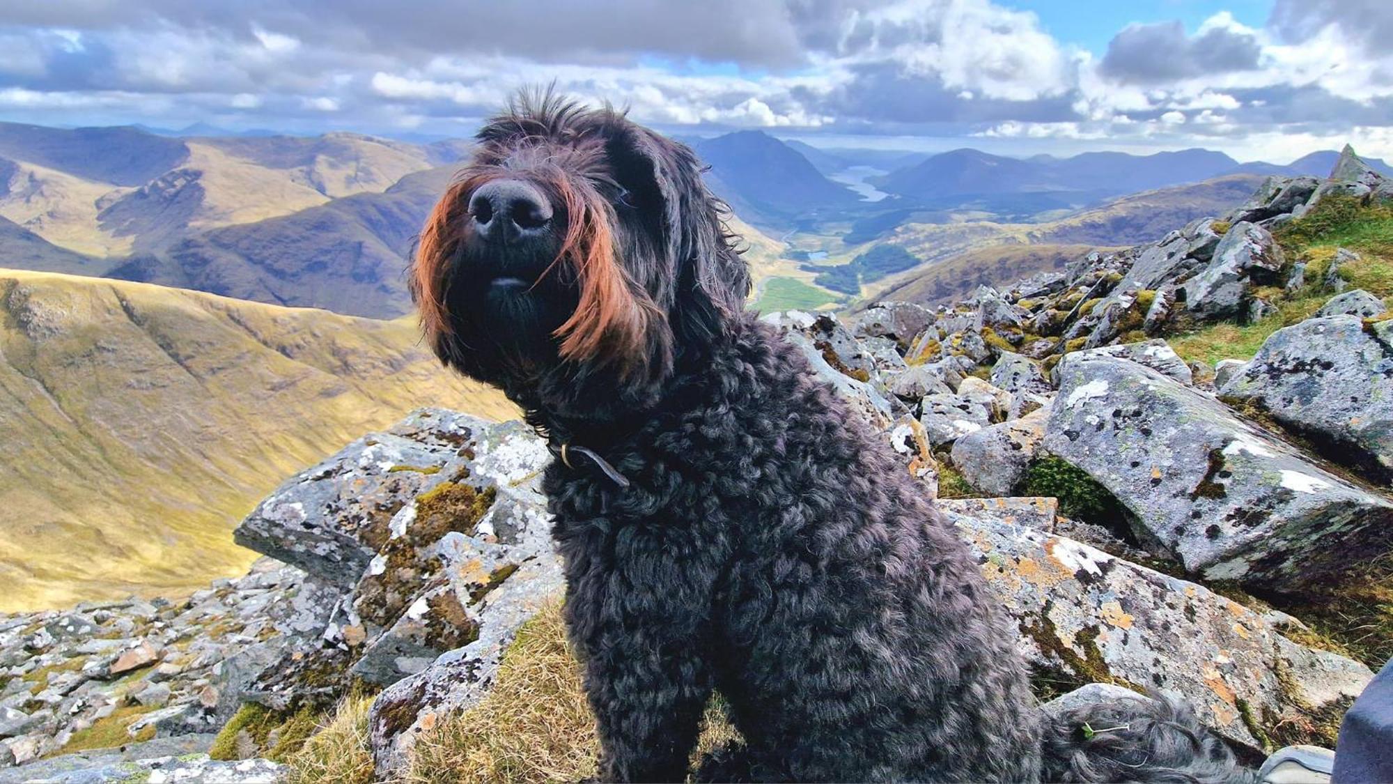 Bothan Creag Sobhrag Ballachulish Bagian luar foto